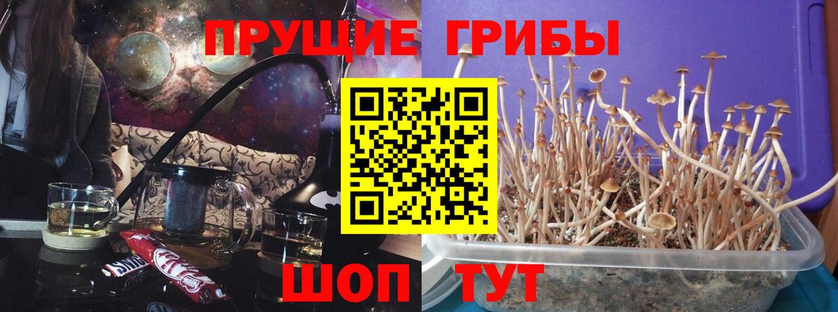 Самара  Псилоцибиновые грибы мухоморы  Вход с VPN 